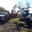 Oak Wilt Take Down