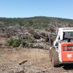 Brush Pile Before