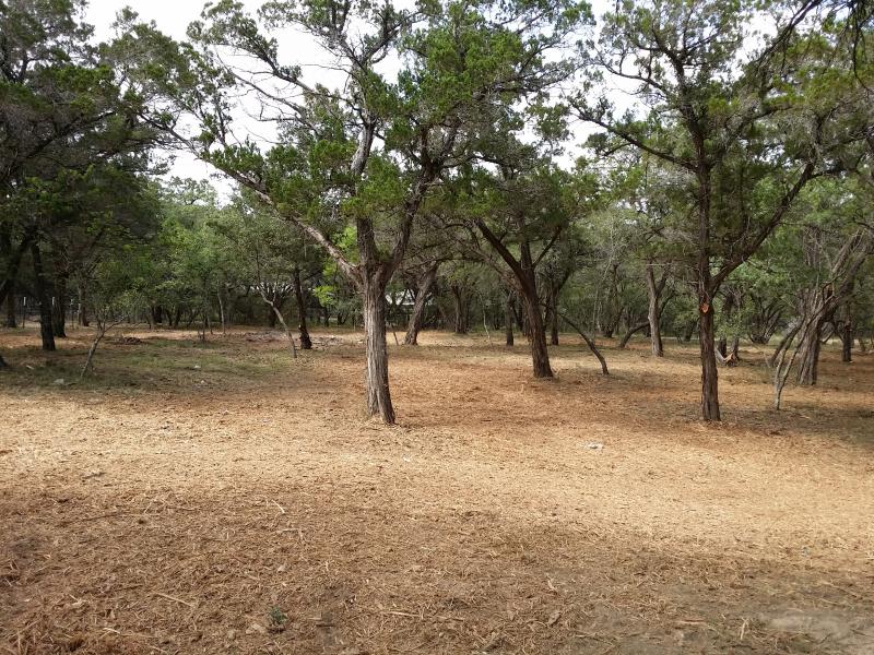 Cedar Mulching