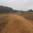 Mulching After