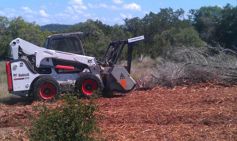 Cedar Clearing