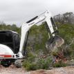 Excavator Clearing Cedar