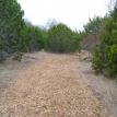 chip road