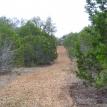 chip road