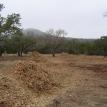 Brush chipping