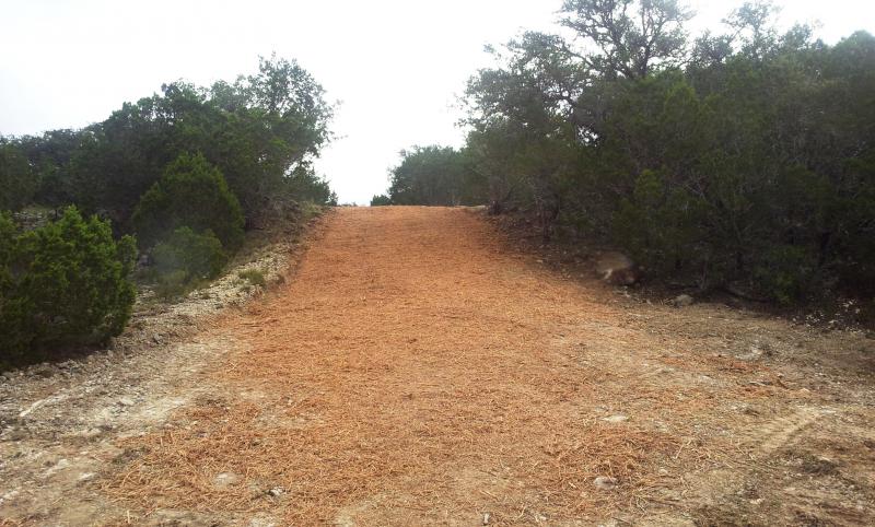 cedar Mulch Road up steep hill